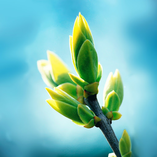 Hd-137300-ascw137300