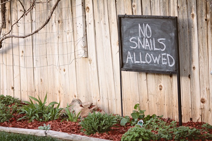 outdoorchalkboardsign2