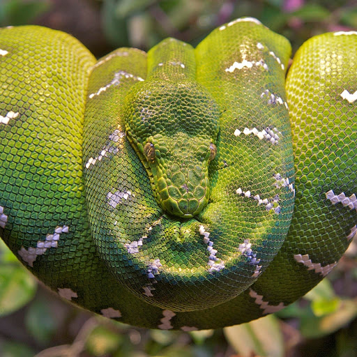 Hd-179863-ascw179863