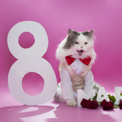 Hd-165253-ascw165253