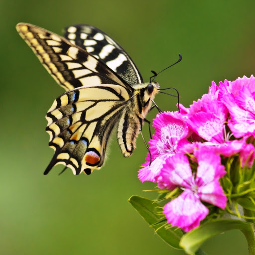 Hd-152452-ascw152452