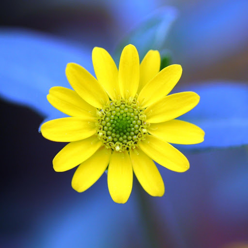 Hd-179795-ascw179795