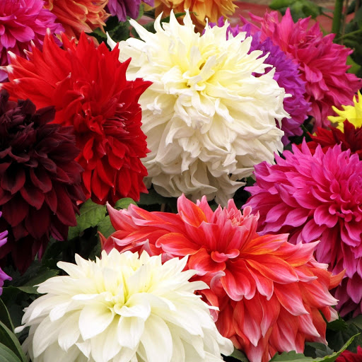 Hd-149175-ascw149175