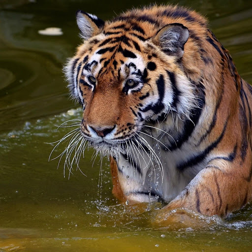 Hd-134690-ascw134690