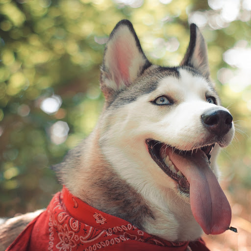 Hd-166640-ascw166640