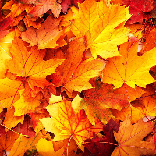 Hd-152364-ascw152364