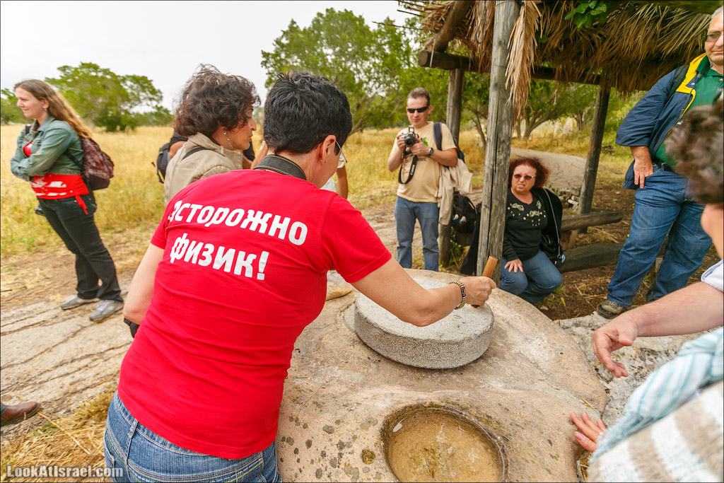 Неот Кдумим - Заповедник библейской природы | נאות קדומים