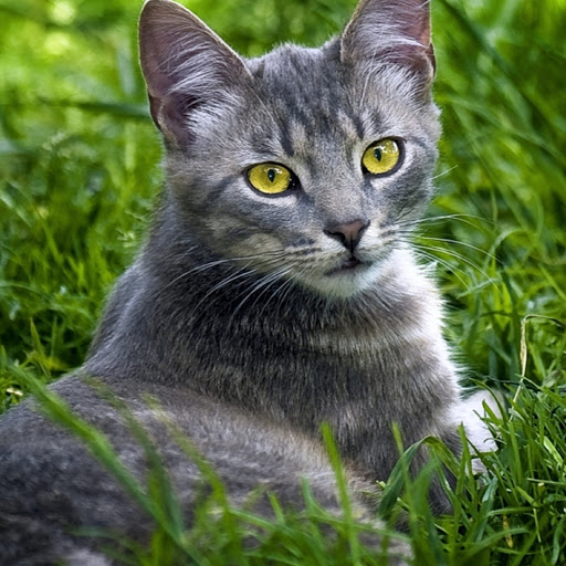 Hd-181139-ascw181139