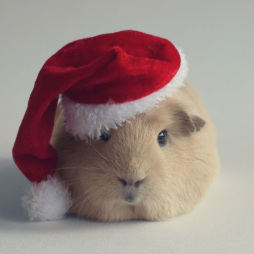 Hd-158785-ascw158785