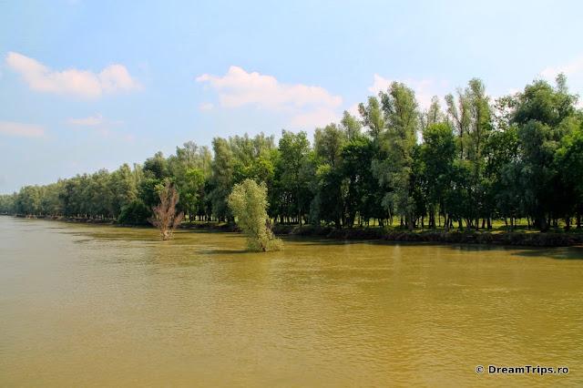 Sfântu Gheorghe Delta Dunarii 5109.JPG
