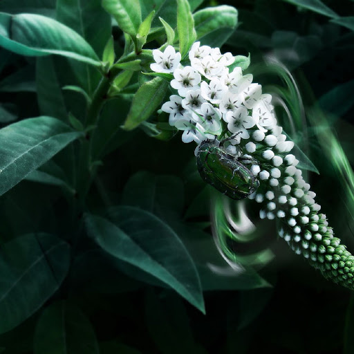 Hd-136494-ascw136494