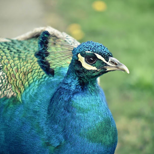 Hd-147812-ascw147812