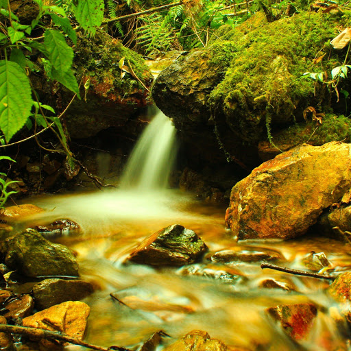 Hd-141908-ascw141908