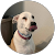 RandomHero RandomHero