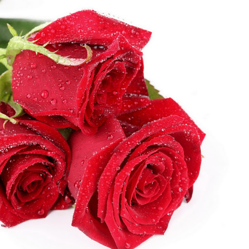 Hd-146417-ascw146417