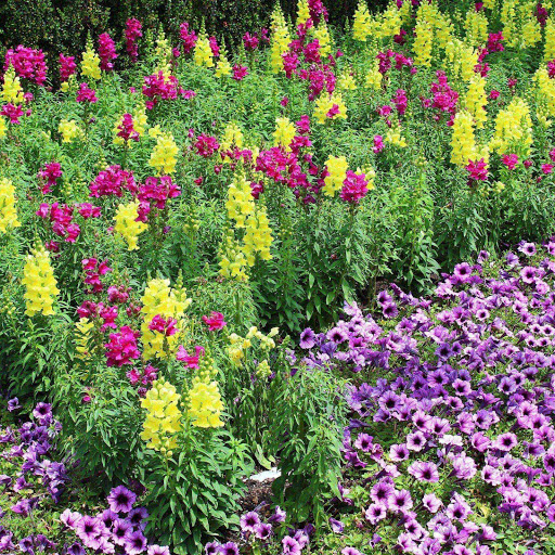 Hd-173512-ascw173512