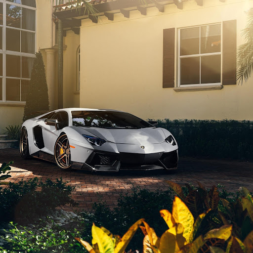 Hd-185278-ascw185278