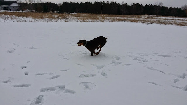 Catch me if you can! (Cell photo by Trisha)