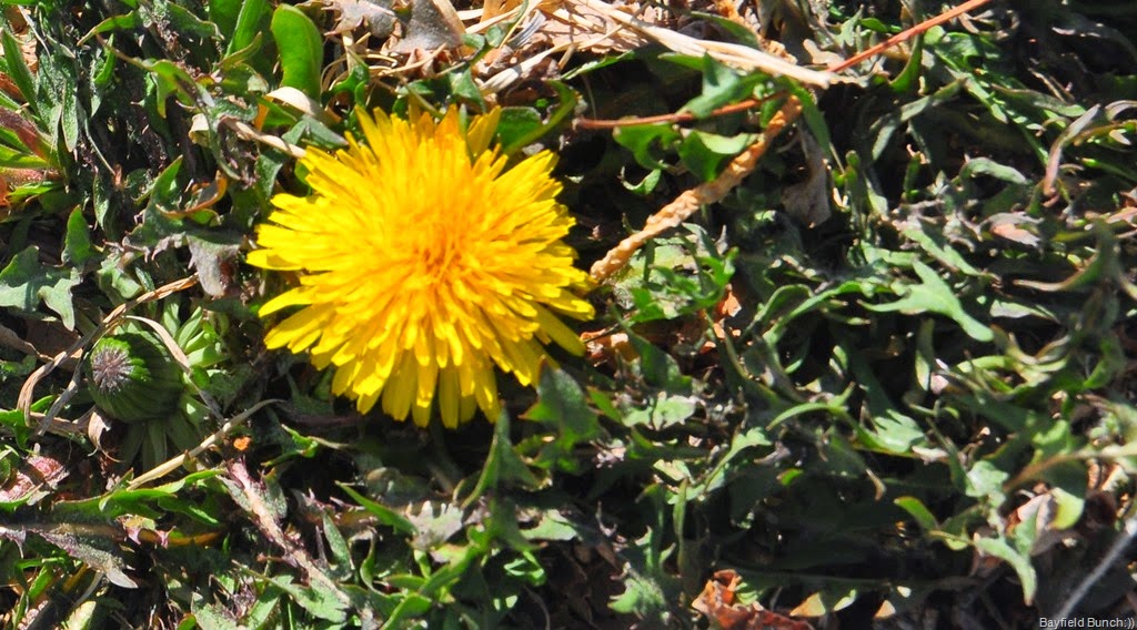 [DSC_0012-002%255B3%255D.jpg]