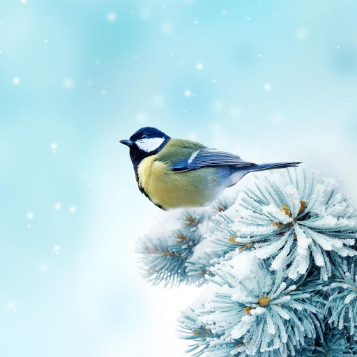 Hd-179028-ascw179028