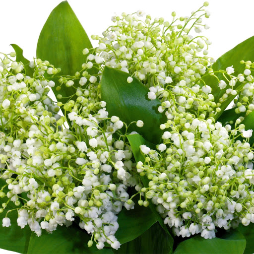 Hd-148734-ascw148734