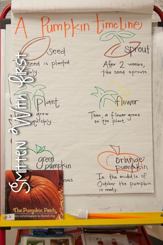 [Pumpkin%2520%2520%25285%2520of%25206%2529%255B5%255D.jpg]