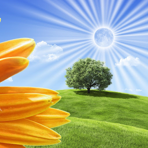 Hd-152005-ascw152005