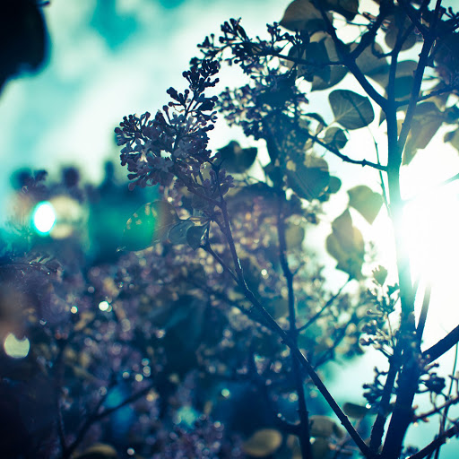 Hd-150777-ascw150777