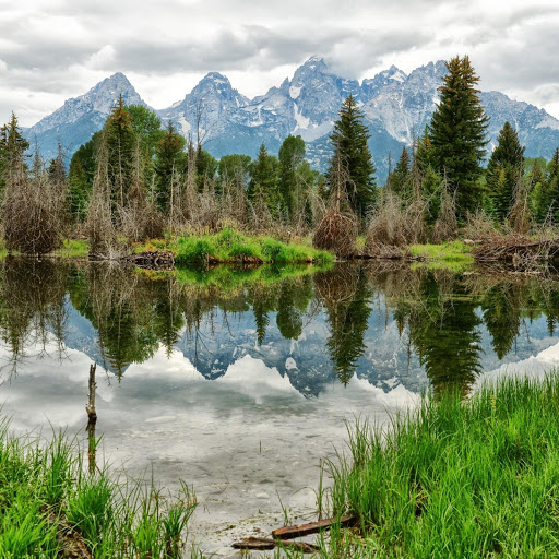 Hd-141941-ascw141941