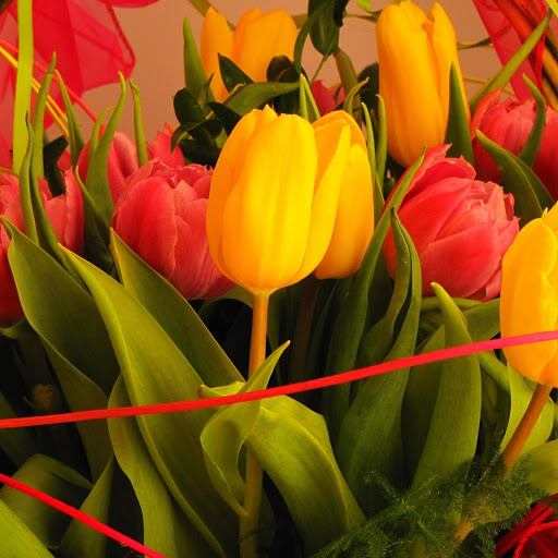 Hd-148262-ascw148262