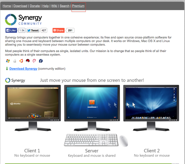Synergy project opening Website screen