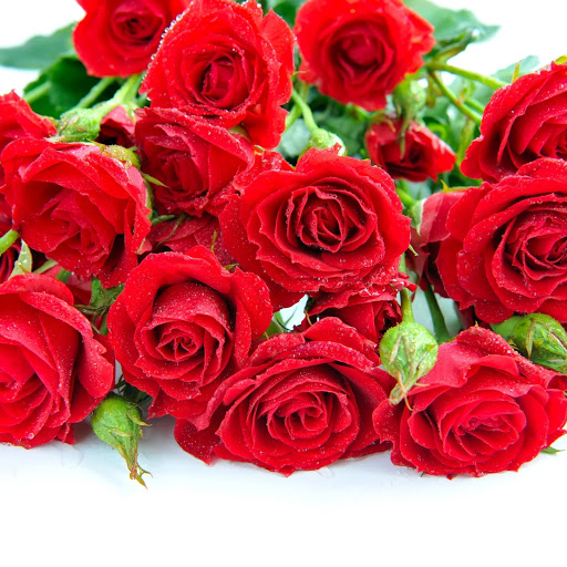 Hd-156460-ascw156460