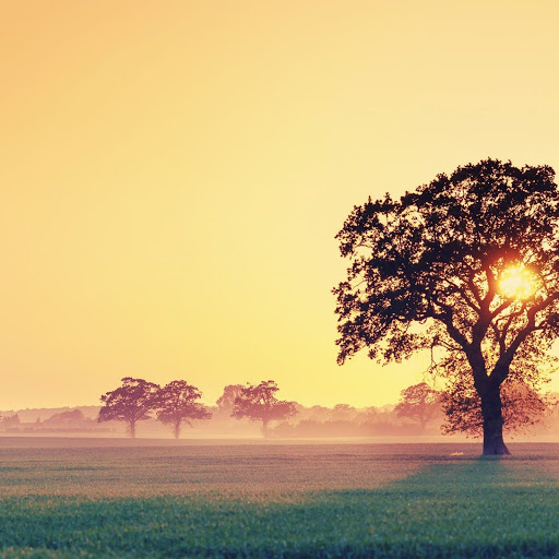 Hd-162972-ascw162972