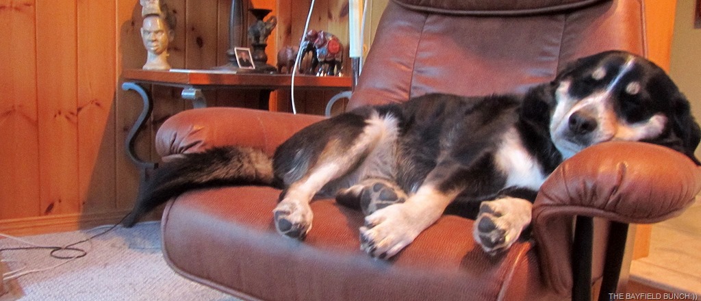 [IMG_1947%255B4%255D.jpg]