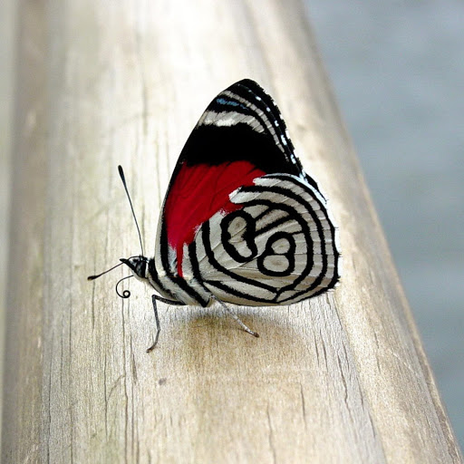 Hd-179976-ascw179976