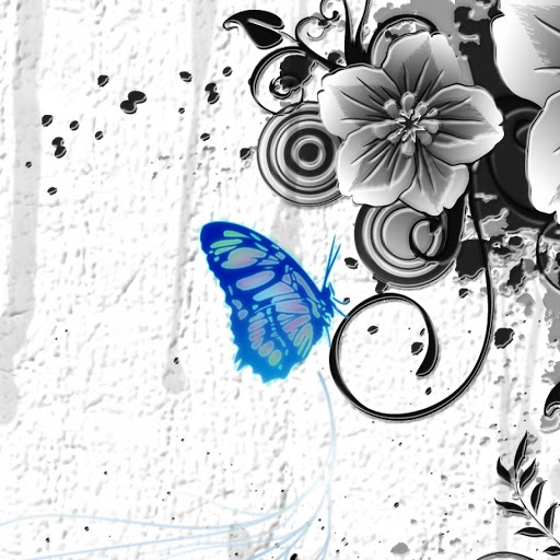 Hd-148101-ascw148101