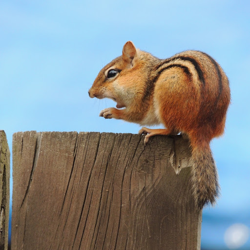 Hd-174938-ascw174938