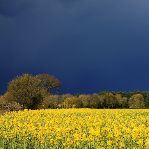 Hd-142632-ascw142632