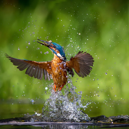 Hd-167717-ascw167717