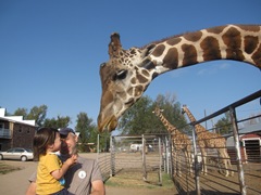 IMG_8658 IMG_8658