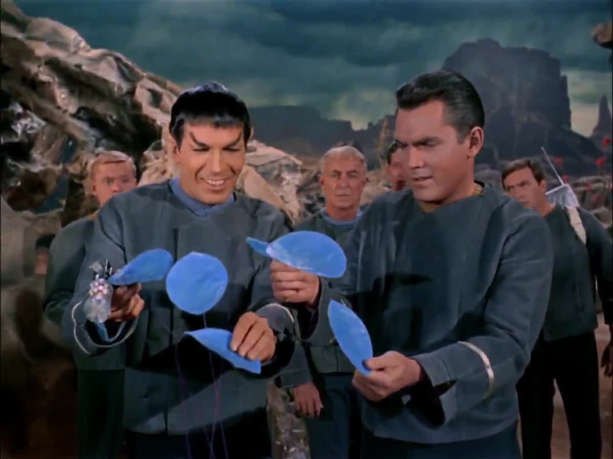 star trek tos the cage