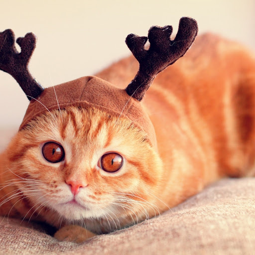 Hd-172923-ascw172923