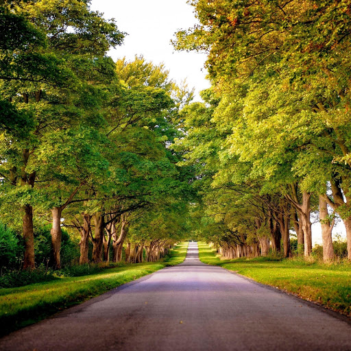 Hd-145929-ascw145929