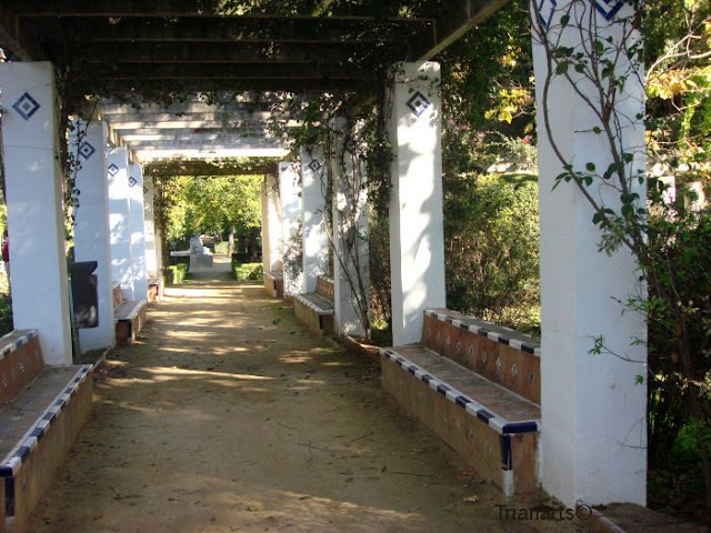 Parque de Maria Luisa.