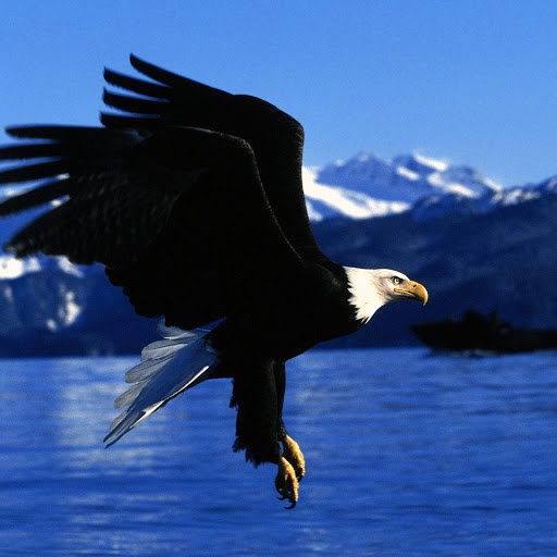 Hd-177732-ascw177732