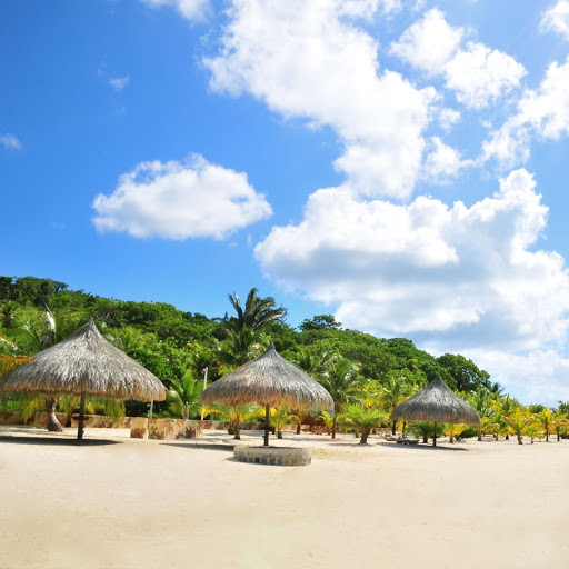 Hd-137882-ascw137882