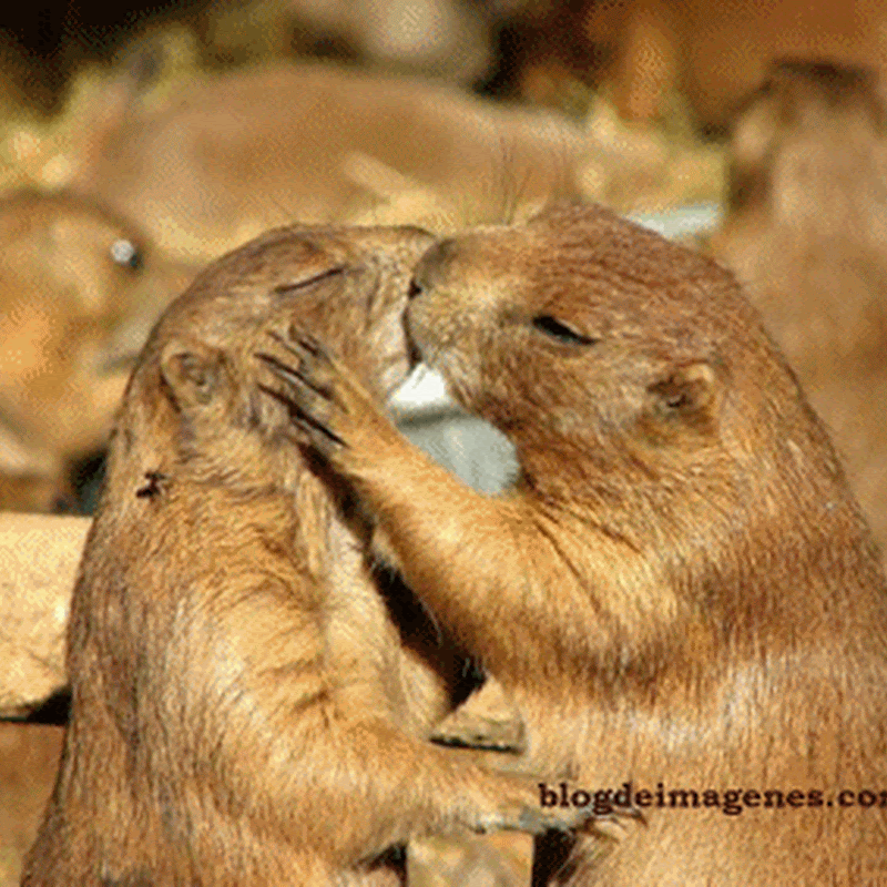 beso%252520ardilla_thumb%25255B1%25255D
