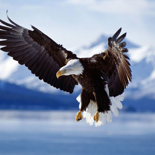 Hd-146825-ascw146825