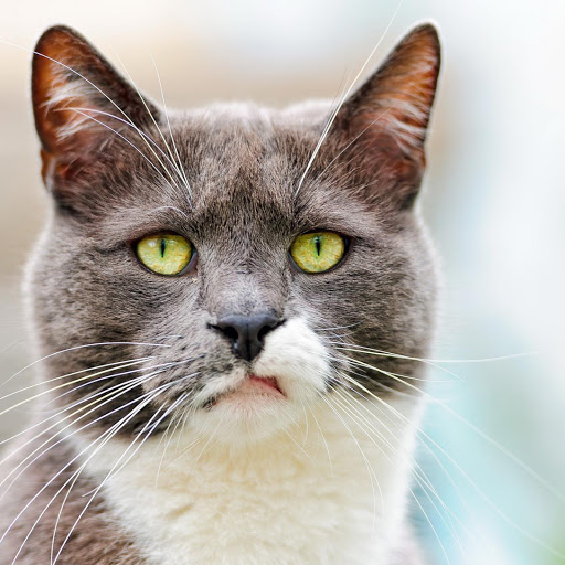 Hd-145391-ascw145391