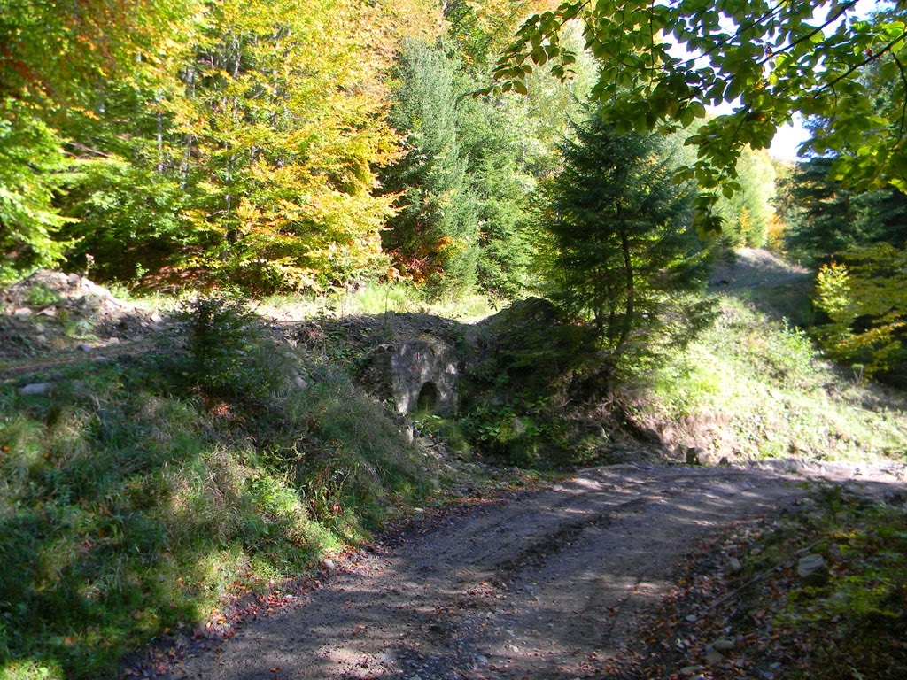 [DSCN63613.jpg]